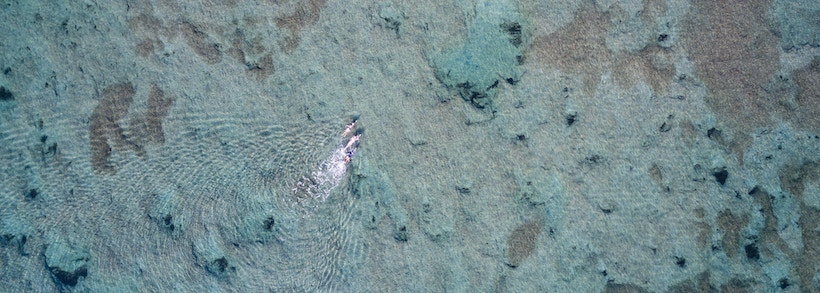 Aerial view of people swimming in the ocean