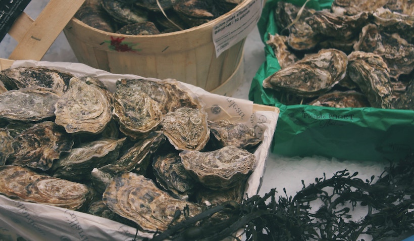 Oysters in a bucket and on a tray