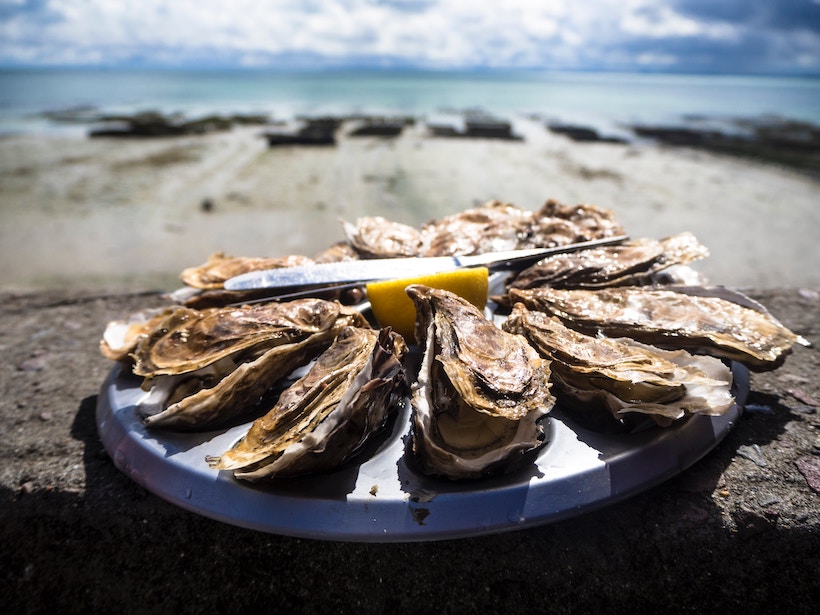 Oysters on a plate with a oyster knife