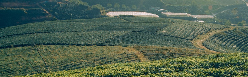 Far away from farmhouse in distance with ensuing cultivated fields