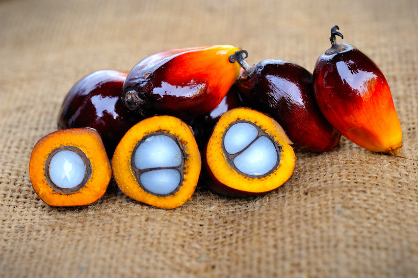 Stack of palm fruits with sole sliced in half