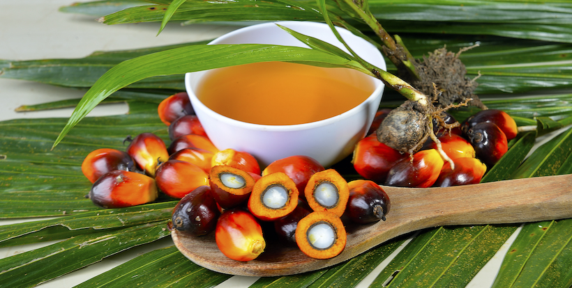 Palm oil in a bowl with fronds and fruits