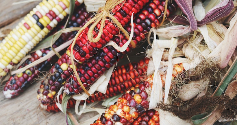 Colorful corn