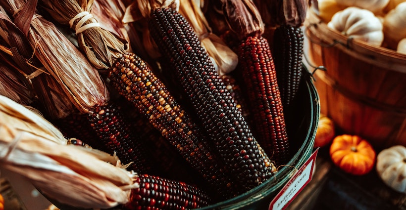 Colored corn inside a bowl