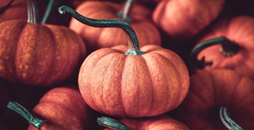 Small pumpkins in a pile