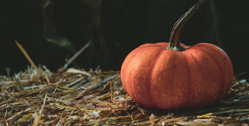 A pumpkin on top of straw