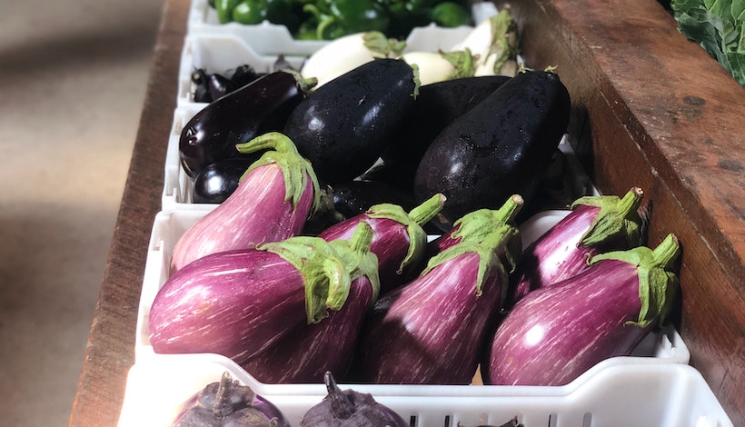 Eggplants of various colors